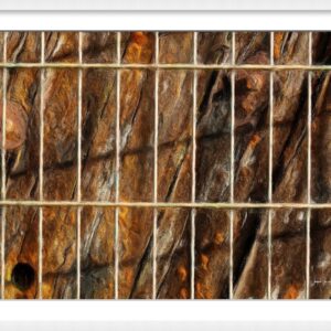 Double cage 1